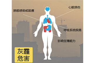 空氣中PM2.5 是由什么物質(zhì)組成的？
